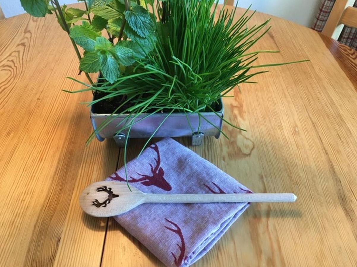 Ferienwohnung Auszeit Konigsfeld im Schwarzwald Bagian luar foto